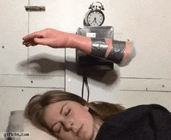 Fun GIF