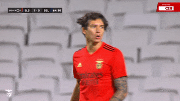 Frustrated Come On GIF by Sport Lisboa e Benfica