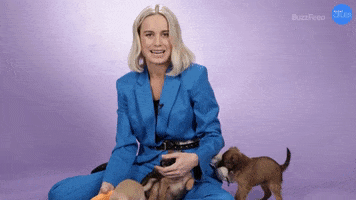 Brie Larson Vibes GIF by BuzzFeed