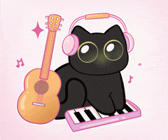Black Cat Musician GIF