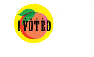 gabriellemertz vote voting georgia peach GIF