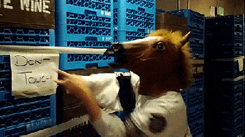horse mask not obeying GIF