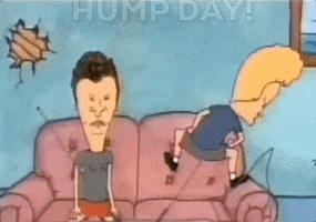 Beavis And Butthead 90S Tv GIF by Leroy Patterson