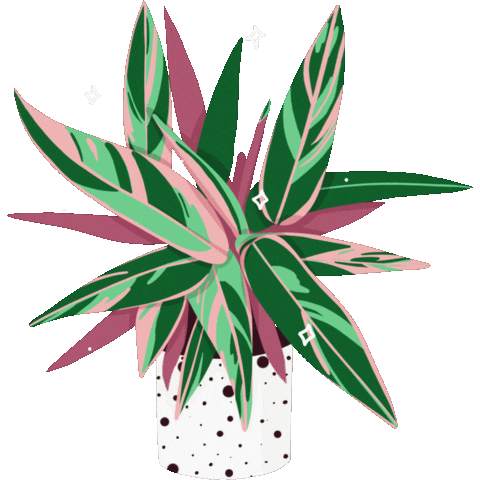 Plant Houseplant Sticker