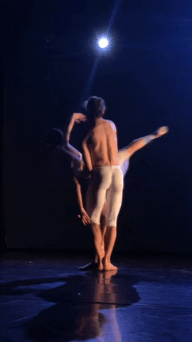 Ballet GIF by Europaballett St. Pölten
