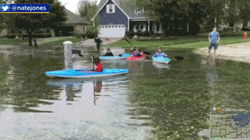 Flood GIF