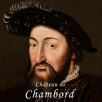 France Fun GIF by Château de Chambord