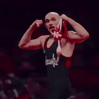 Wrestling GIF