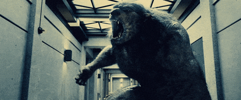 Angry Cabin In The Woods GIF - Find & Share on GIPHY