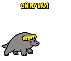 Snorkle Prawn Sticker