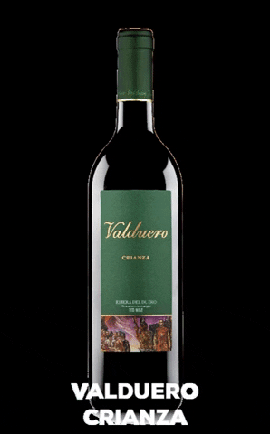 Bodegas Valduero GIF