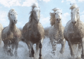 Bound 2 Horses GIF by Kanye West