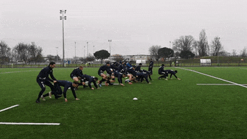 Agen_Rugby rugby top14 sua agen rugby GIF