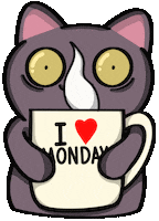 Monday Morning Cat GIF