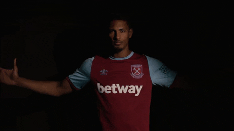 West Ham Coyi GIF by West Ham United - Find & Share on GIPHY