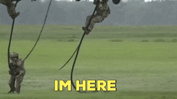 200.gif