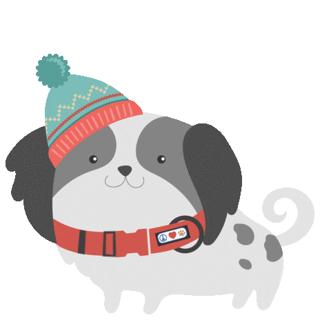 Source: Pawtitas Source: Pawtitas