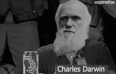 Darwinism meme gif