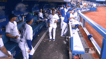 Major League Baseball Hug GIF by MLB