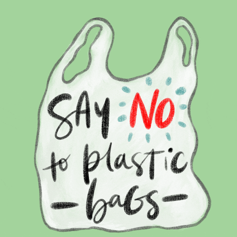 Digital art gif. Cartoon of a single-use plastic bag, text inside of which reads "Say no to plastic bags," everything against a light green background.
