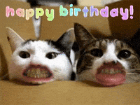 Happy Birthday Sarah Gifs Get The Best Gif On Giphy Happy Birthday Sarah Gifs Get The Best Gif On Giphy