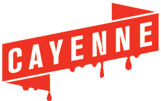 Alabama Birmingham Sticker by Cayenne Creative