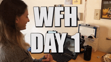 Working Work From Home GIF by Woot!