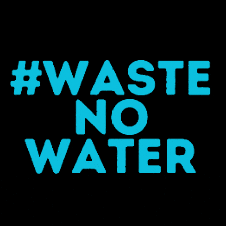 Tehiku GIF by tehikuconnect