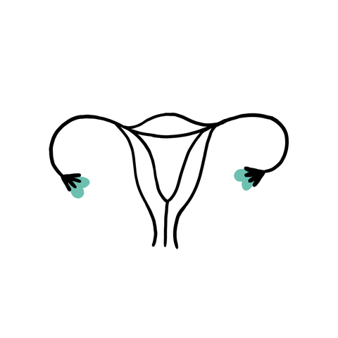 ovarian cysts meaning, definitions, synonyms