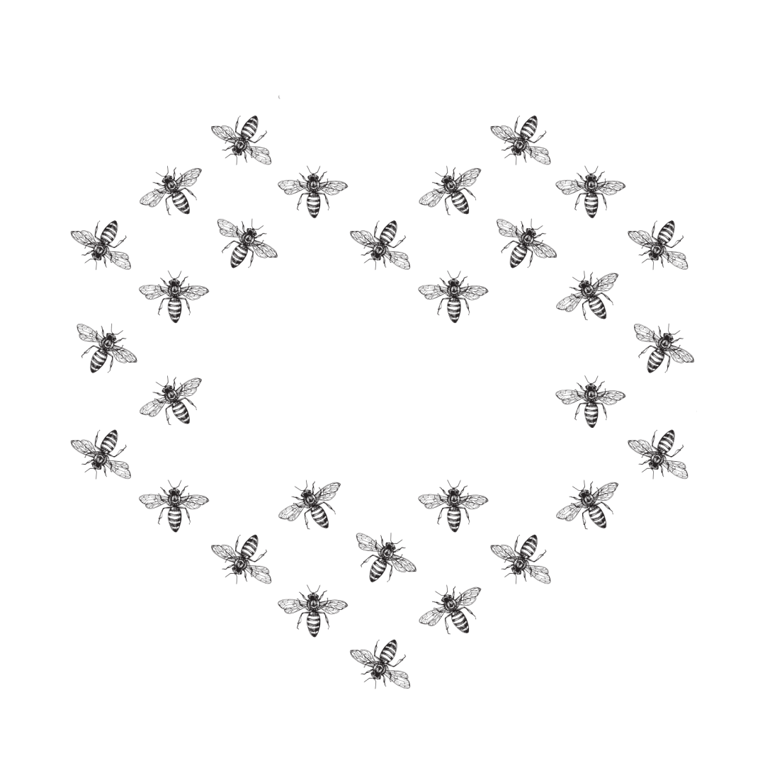 Lisiak zo sadu Sticker