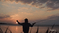 Dawn Cast At My Fishing Cabin GIFs - Find & Share on GIPHY