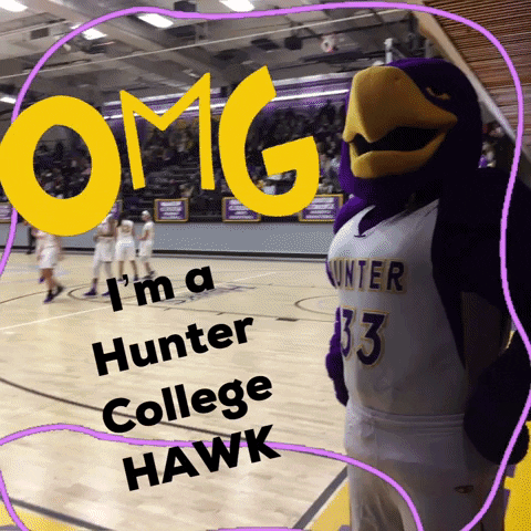Hunter College School GIF by Hunter College Admissions Team