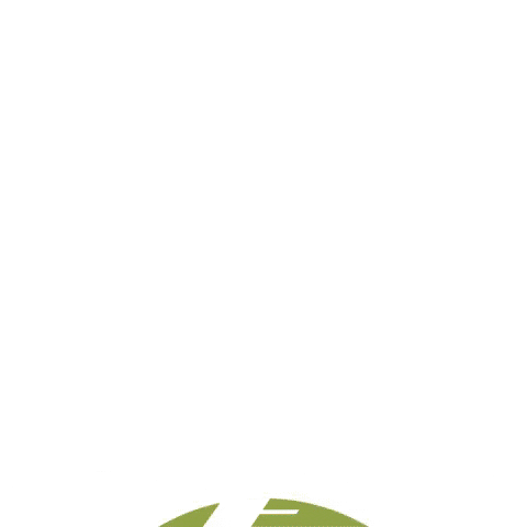 Winter Sports Tree GIF by Wells Fargo