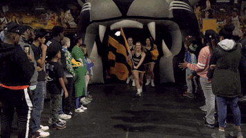 200.gif?cid=fc005b085e356ae0fd837f66357c690bd33e036185a15c9d&rid=200.gif&ct=g