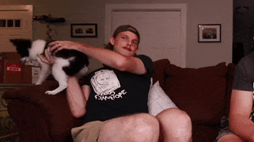 Dog Wrestling GIF by Number Six With Cheese