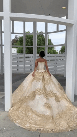 Vip Xv GIF by Moda 2000 Inc - Find \u0026 Share on GIPHY