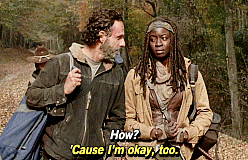 Michonne GIF - Find & Share on GIPHY