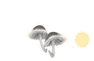 Glow In The Dark Mushrooms Sticker
