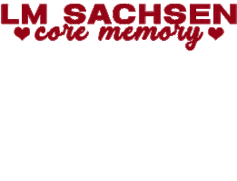 Cheer Cheerleading Sticker by Cheersportsachsen