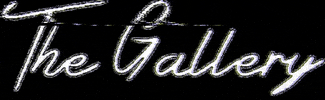 thegalleryworld GIF