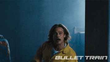 Stop Right There Brad Pitt GIF by Bullet Train