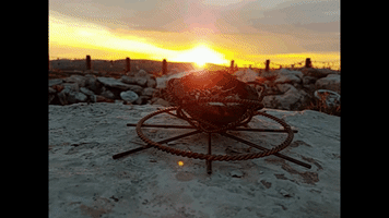 brianbesco sunrise ceremony smudge medicine wheel GIF