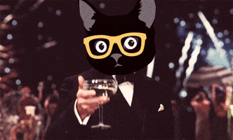 The Great Gatsby Cheers GIF by Klaus