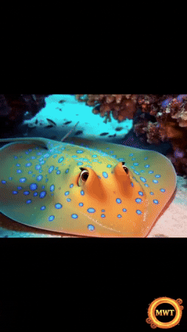 3Danimation GIF