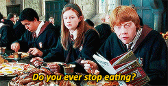 harry potter eating GIF
