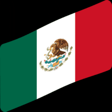 Mexico Flag GIF by Común