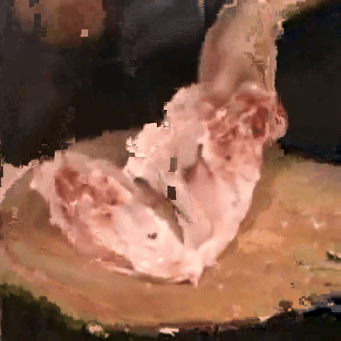 Dvghost GIF