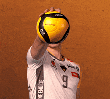 Volleyball Volley GIF by trefl_gdansk