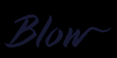 Blow.Salons GIF