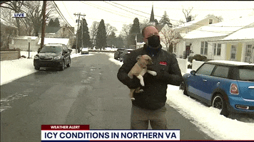 Weather Report Puppy GIF by FOX 5 DC